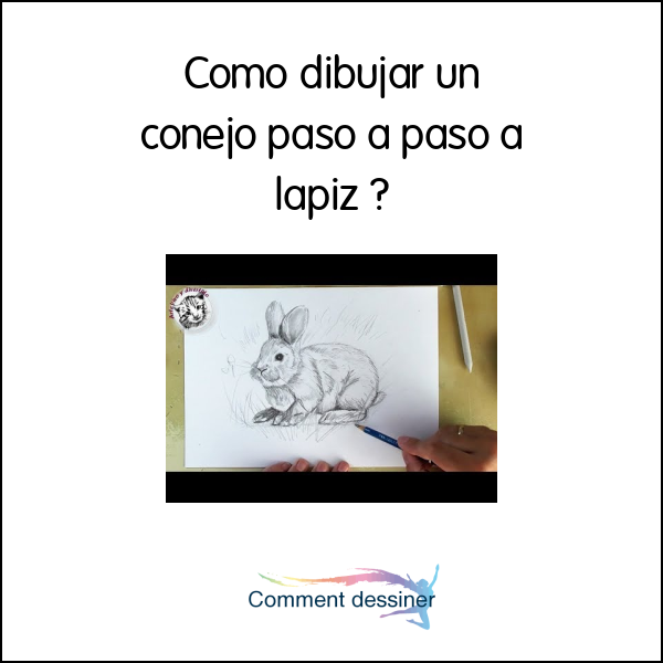 Como dibujar un conejo paso a paso a lapiz